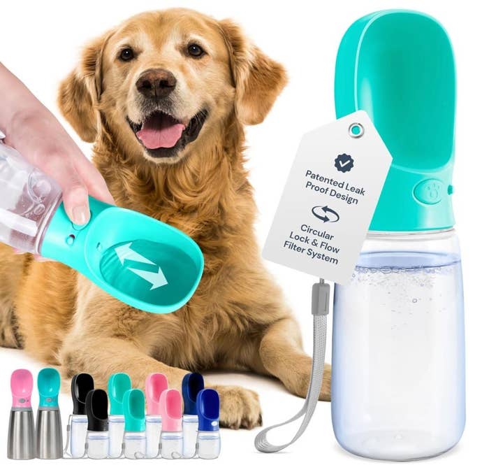 Excessive Heat Can Be Dangerous To Pets, So Keep Them Cool With These 14 Products — image 5