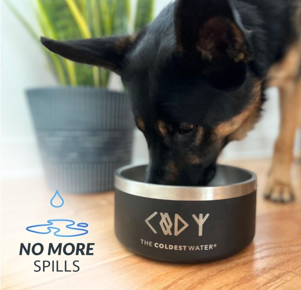 Excessive Heat Can Be Dangerous To Pets, So Keep Them Cool With These 14 Products — image 7