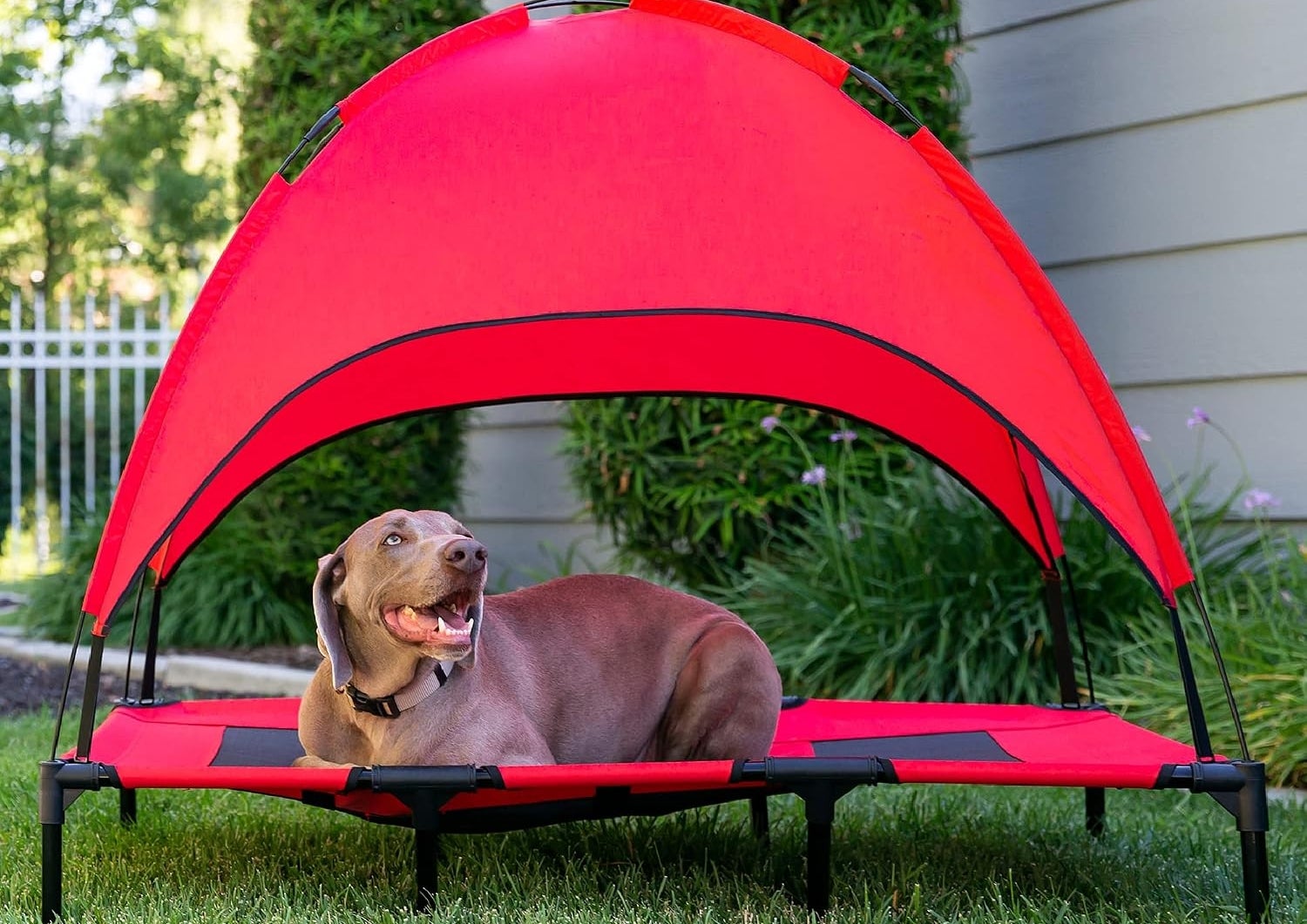 Excessive Heat Can Be Dangerous To Pets, So Keep Them Cool With These 14 Products — image 16