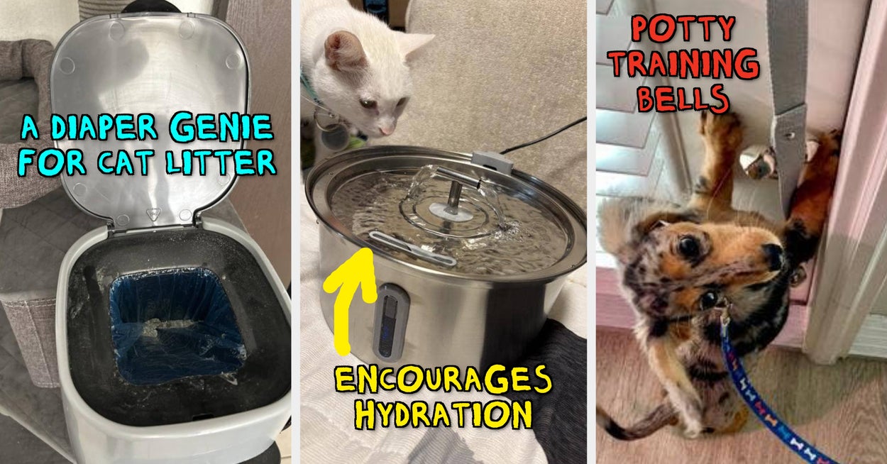 27 Things From Chewy That Deserve To Be Nominated For Awards — image 1