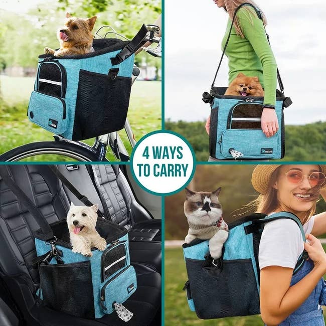 27 Things From Chewy That Deserve To Be Nominated For Awards — image 3