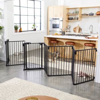 27 Things From Chewy That Deserve To Be Nominated For Awards — image 8