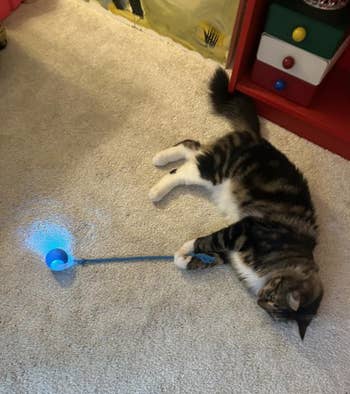 27 Things From Chewy That Deserve To Be Nominated For Awards — image 10