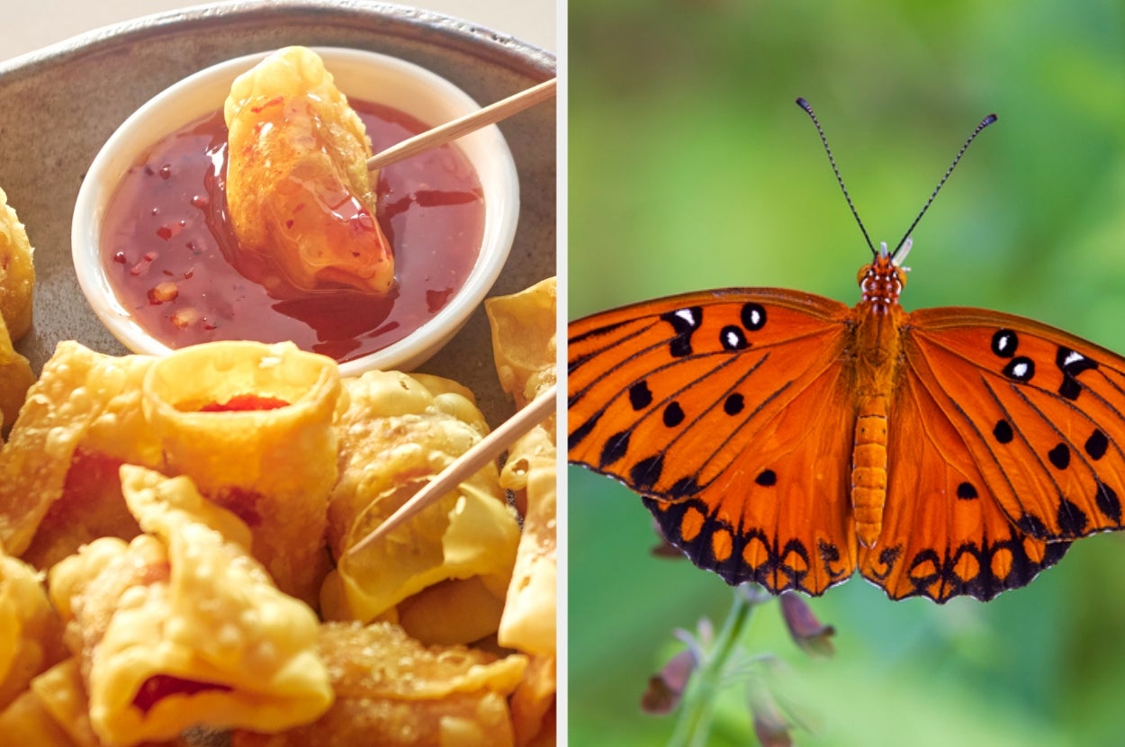 Build Your Perfect Asian Buffet Plate And Discover Which Butterfly You Are — image 1