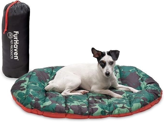 Everything You Need To Bring Your Dog Camping With You — image 7