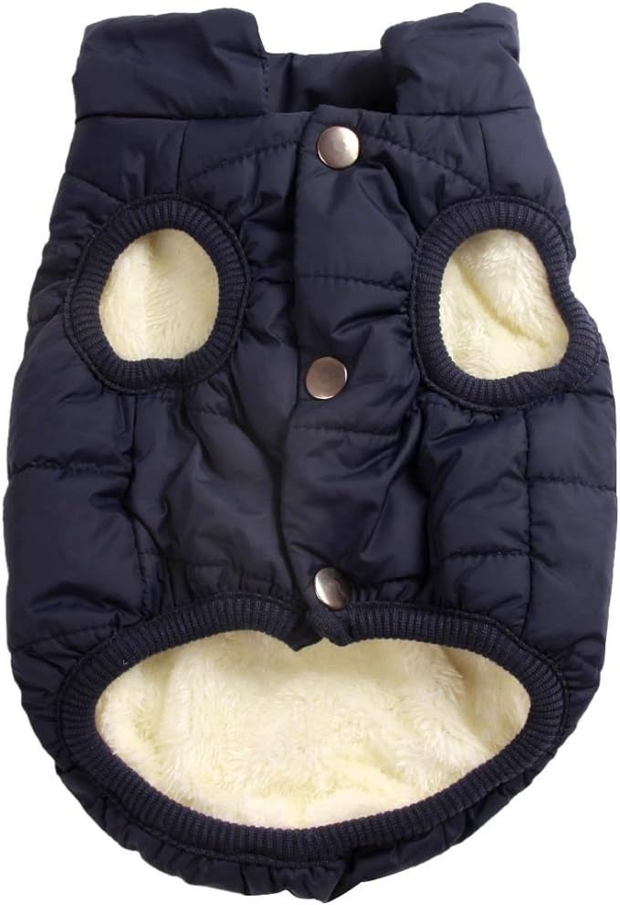 Everything You Need To Bring Your Dog Camping With You — image 11