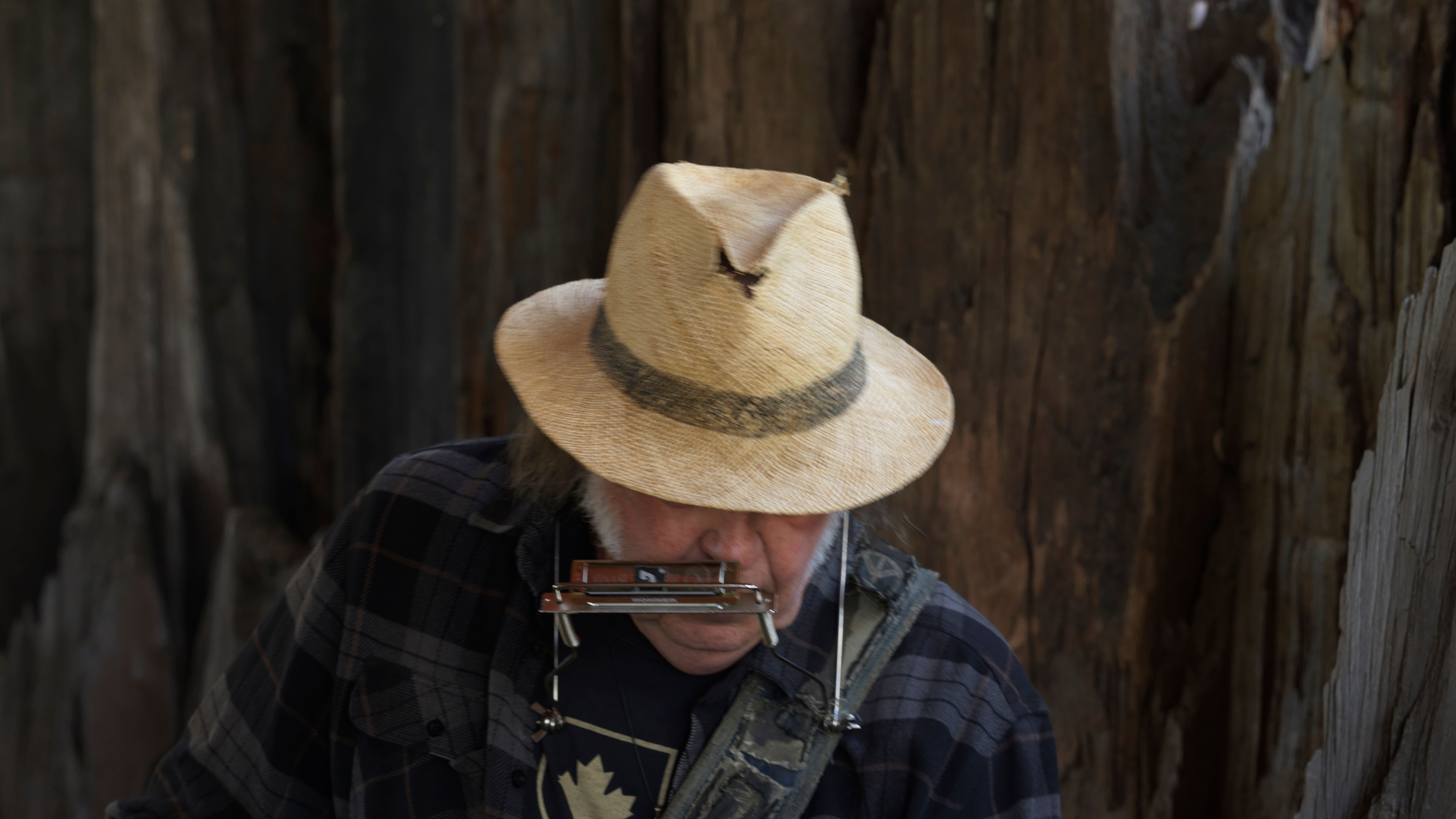 Neil Young and the Chrome Hearts Return With New Album Second Song — image 1