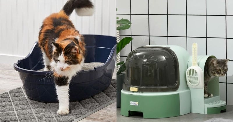 If Your Cat Tracks Litter Mess All Over The House, You Need These 9 Products — image 1