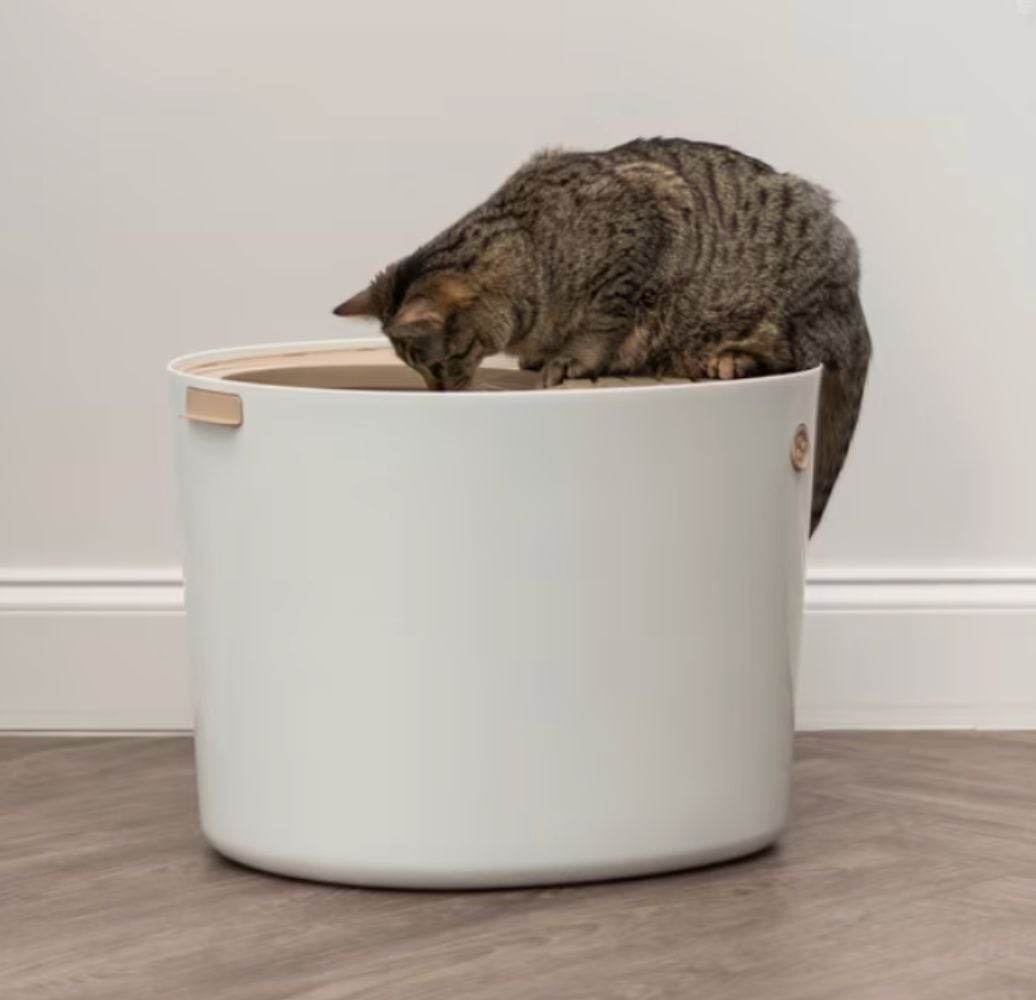 If Your Cat Tracks Litter Mess All Over The House, You Need These 9 Products — image 11
