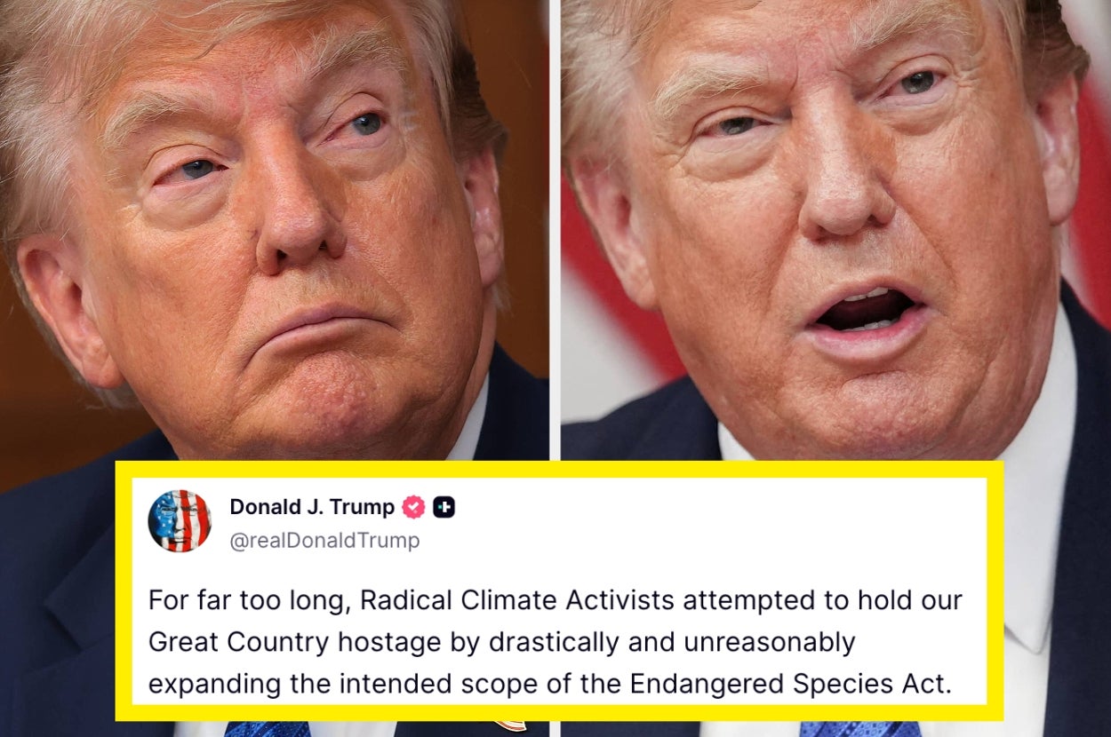 "Evil": Trump Is Rolling Back Protections For Endangered Species, And People Are Furious — image 1