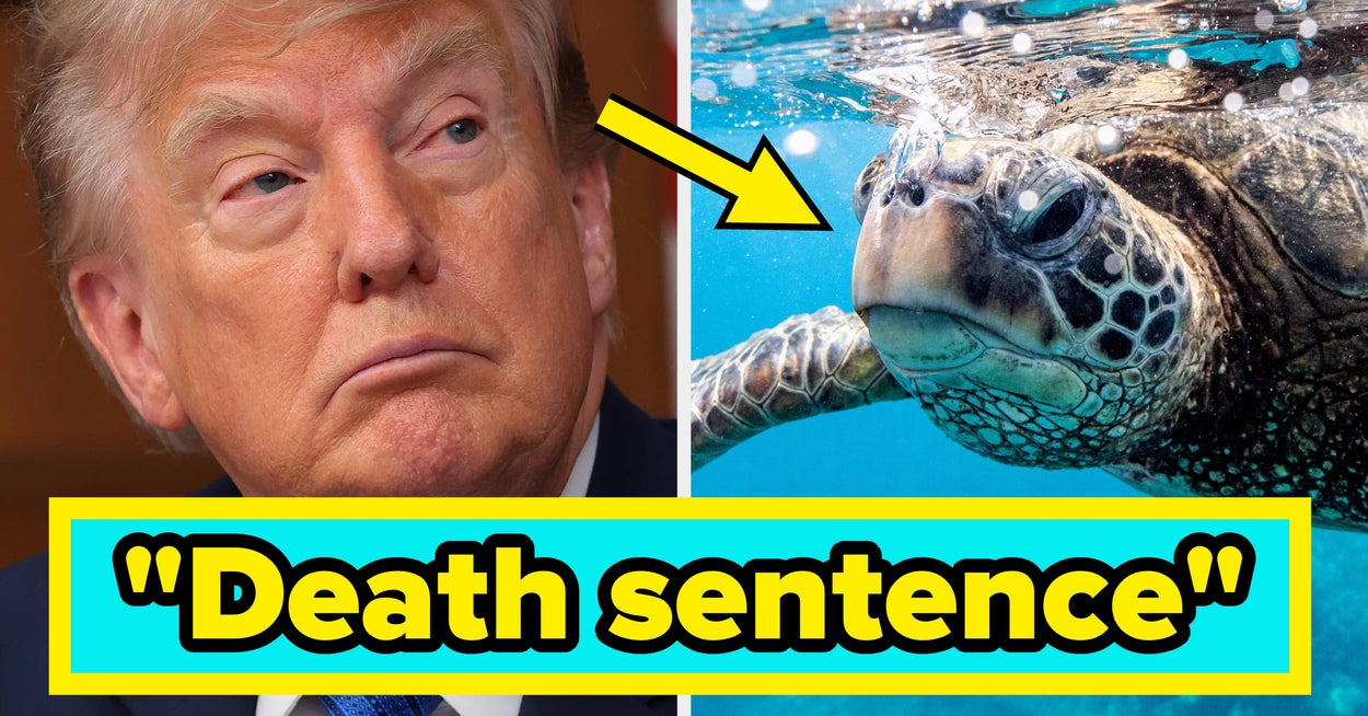 "Evil": Trump Is Rolling Back Protections For Endangered Species, And People Are Furious — image 2
