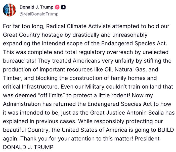 "Evil": Trump Is Rolling Back Protections For Endangered Species, And People Are Furious — image 6