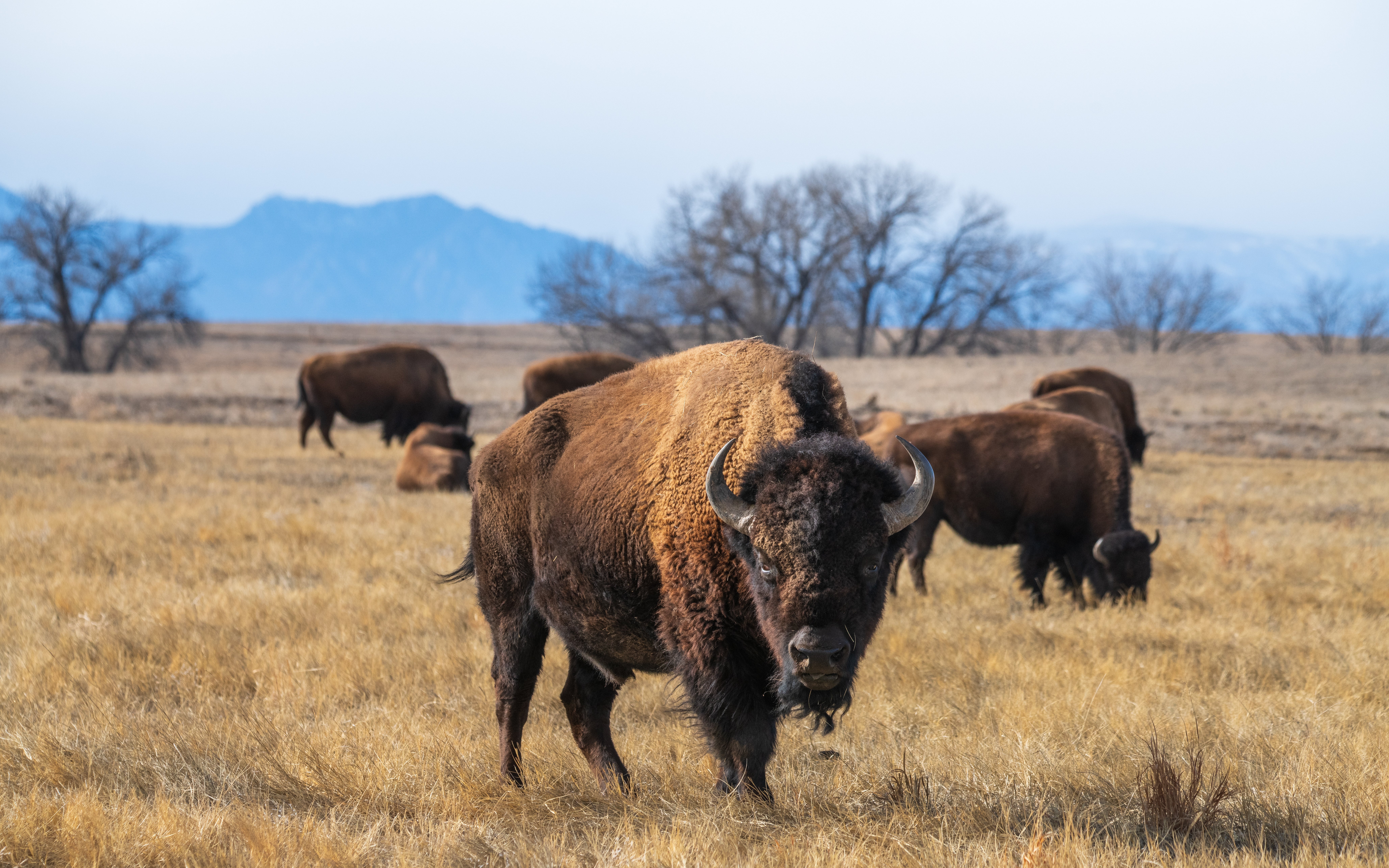 "Evil": Trump Is Rolling Back Protections For Endangered Species, And People Are Furious — image 11