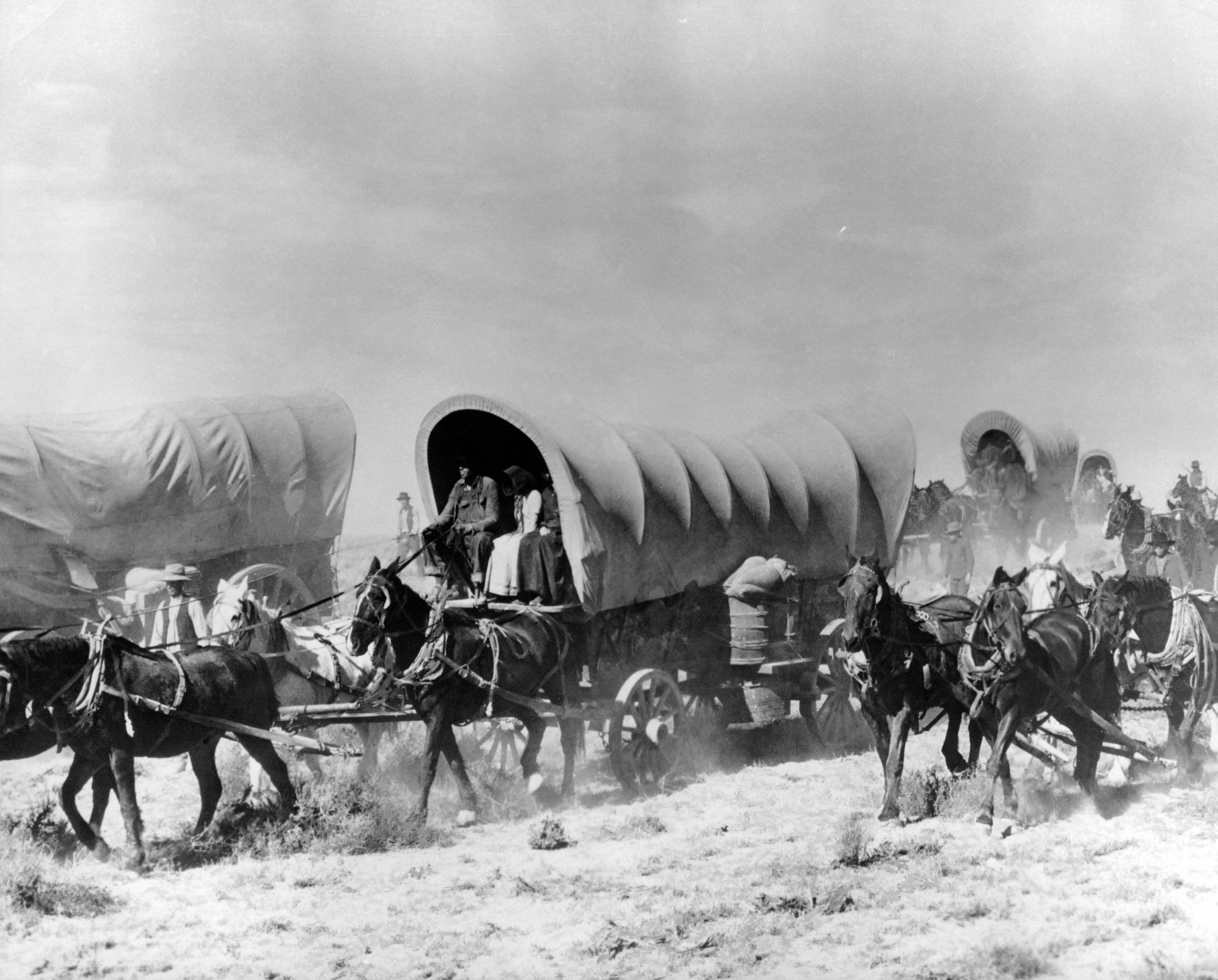 31 Horrifying Historical Moments Your Teachers Never Explained Accurately In School — image 6