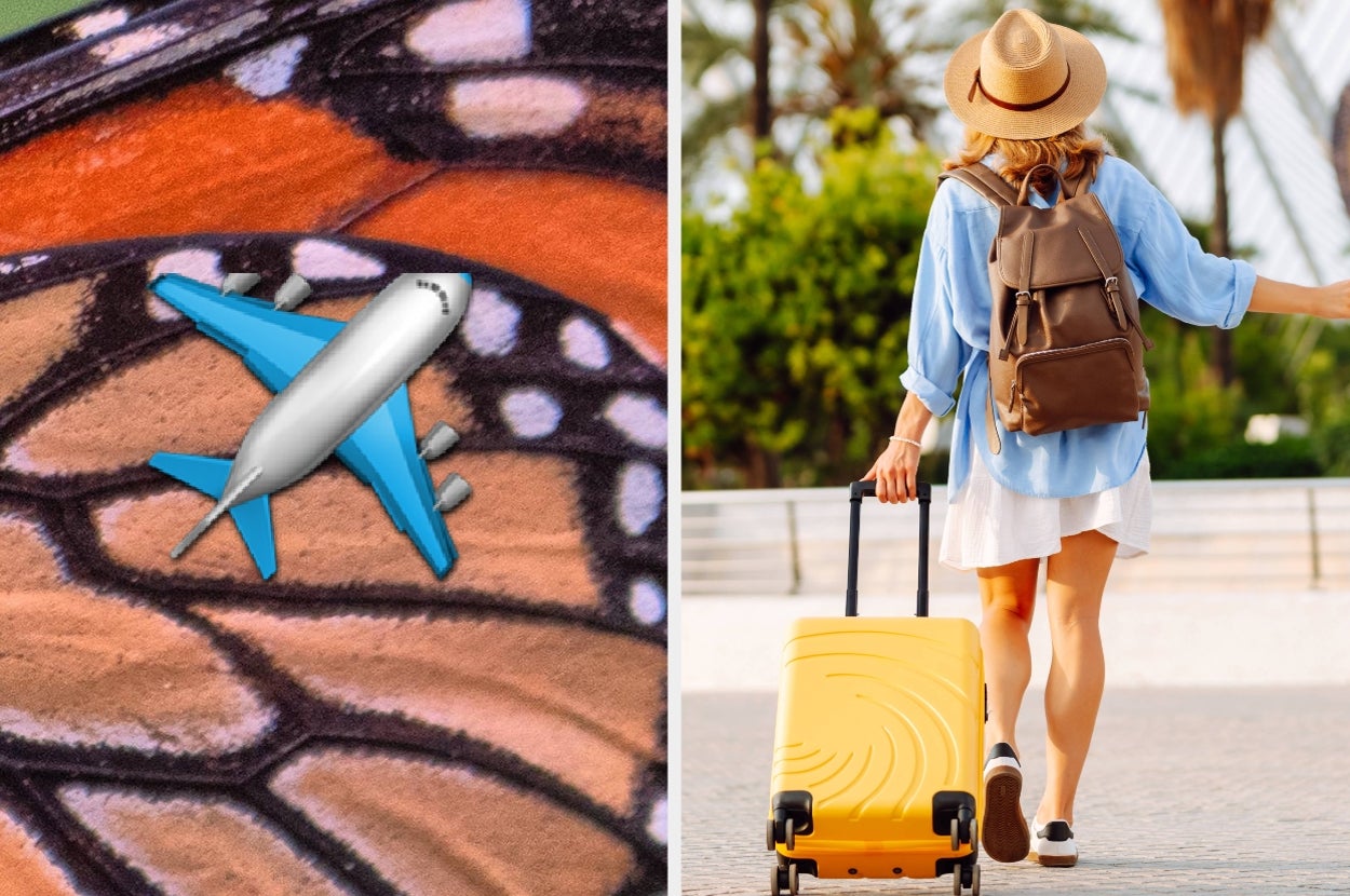 Check Off Your Biggest Travel Fails And We’ll Tell You If You’re Tough Enough To Migrate Like A Monarch — image 2