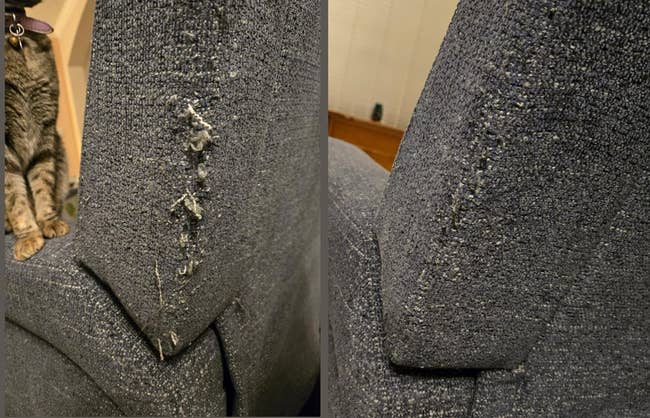 29 Products With Shocking Result Photos That’ll Motivate You To Finally Clean Your House — image 13