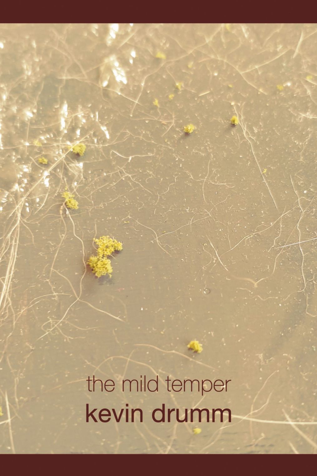 Kevin Drumm: The Mild Temper — image 1