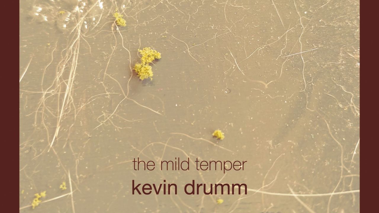 Kevin Drumm: The Mild Temper — image 2