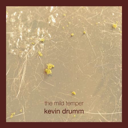 Kevin Drumm: The Mild Temper — image 3