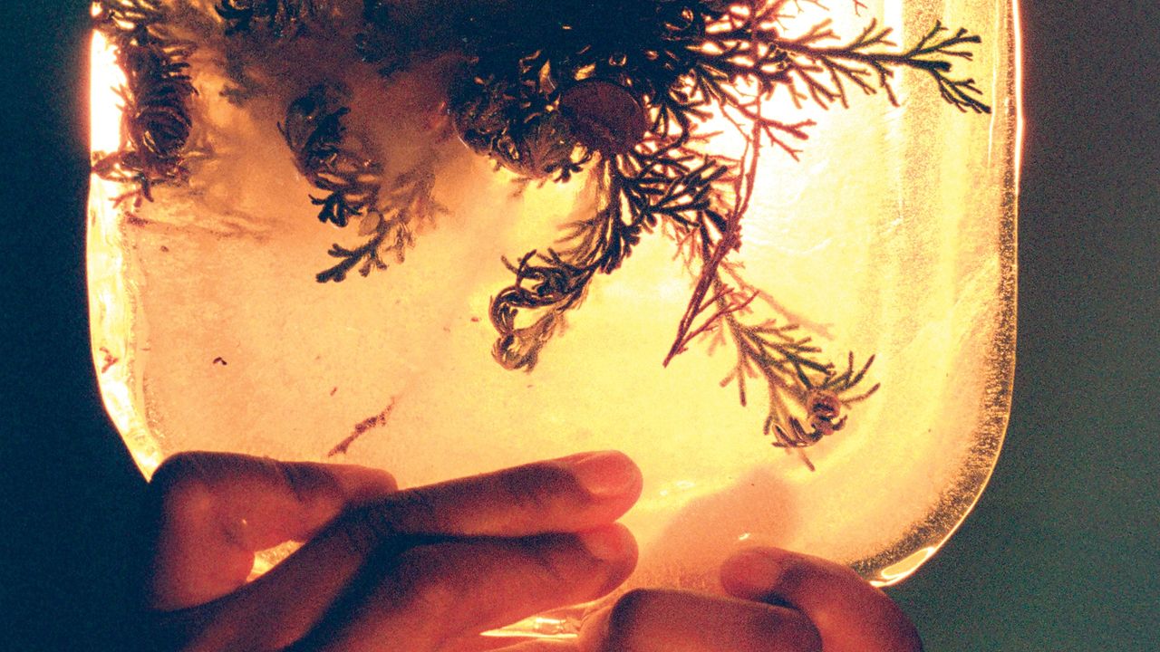 L’Rain: fata morgana — image 2