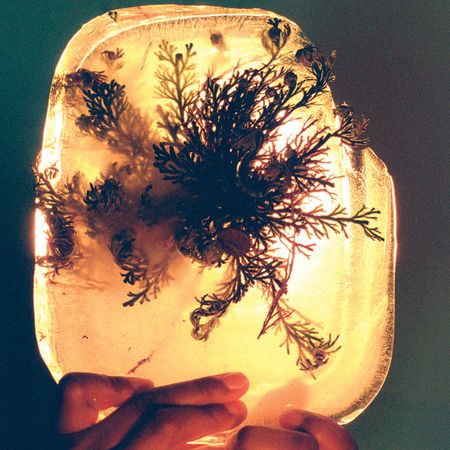 L’Rain: fata morgana — image 3