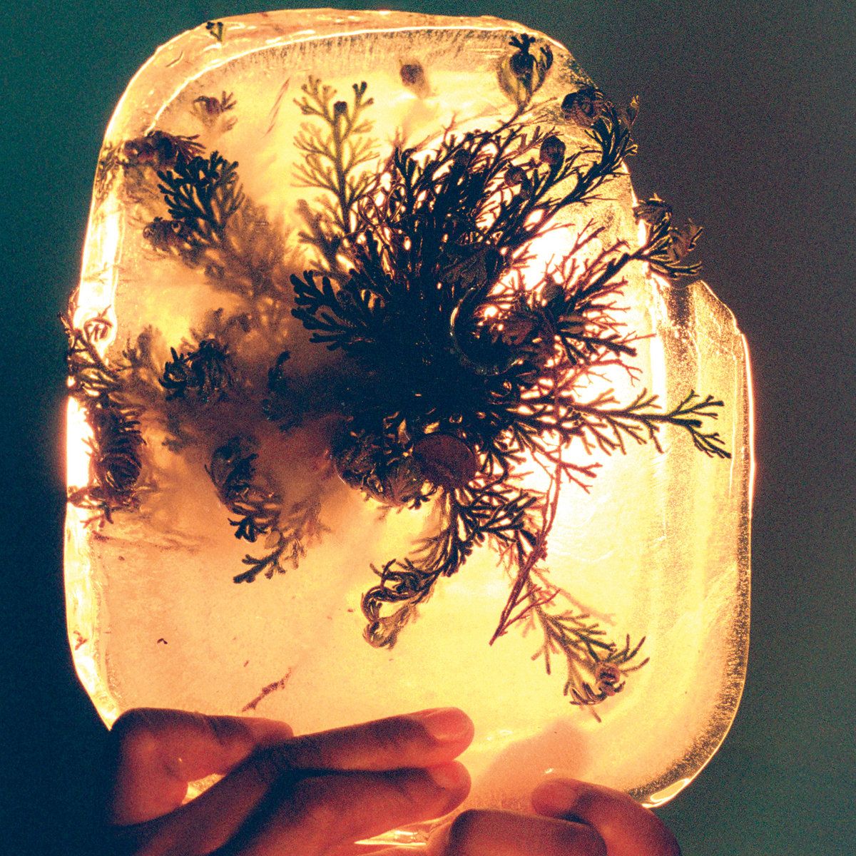L’Rain: fata morgana — image 4