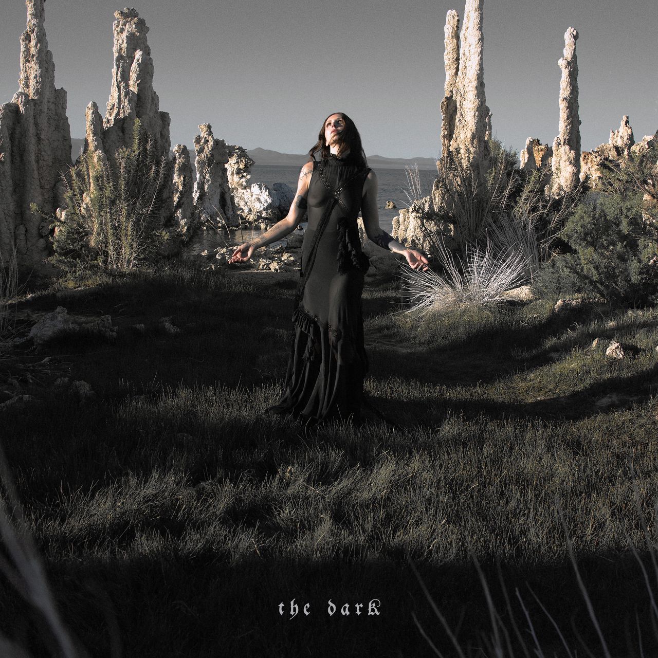 Chelsea Wolfe: The Dark — image 4