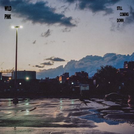 Wild Pink: Still Coming Down — image 3