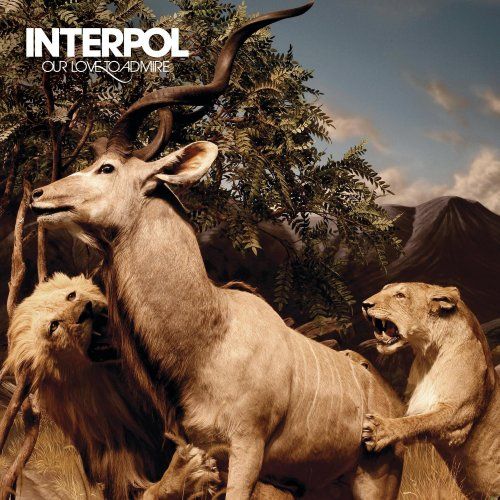 Interpol: This Mirror Weighs a Ton — image 15