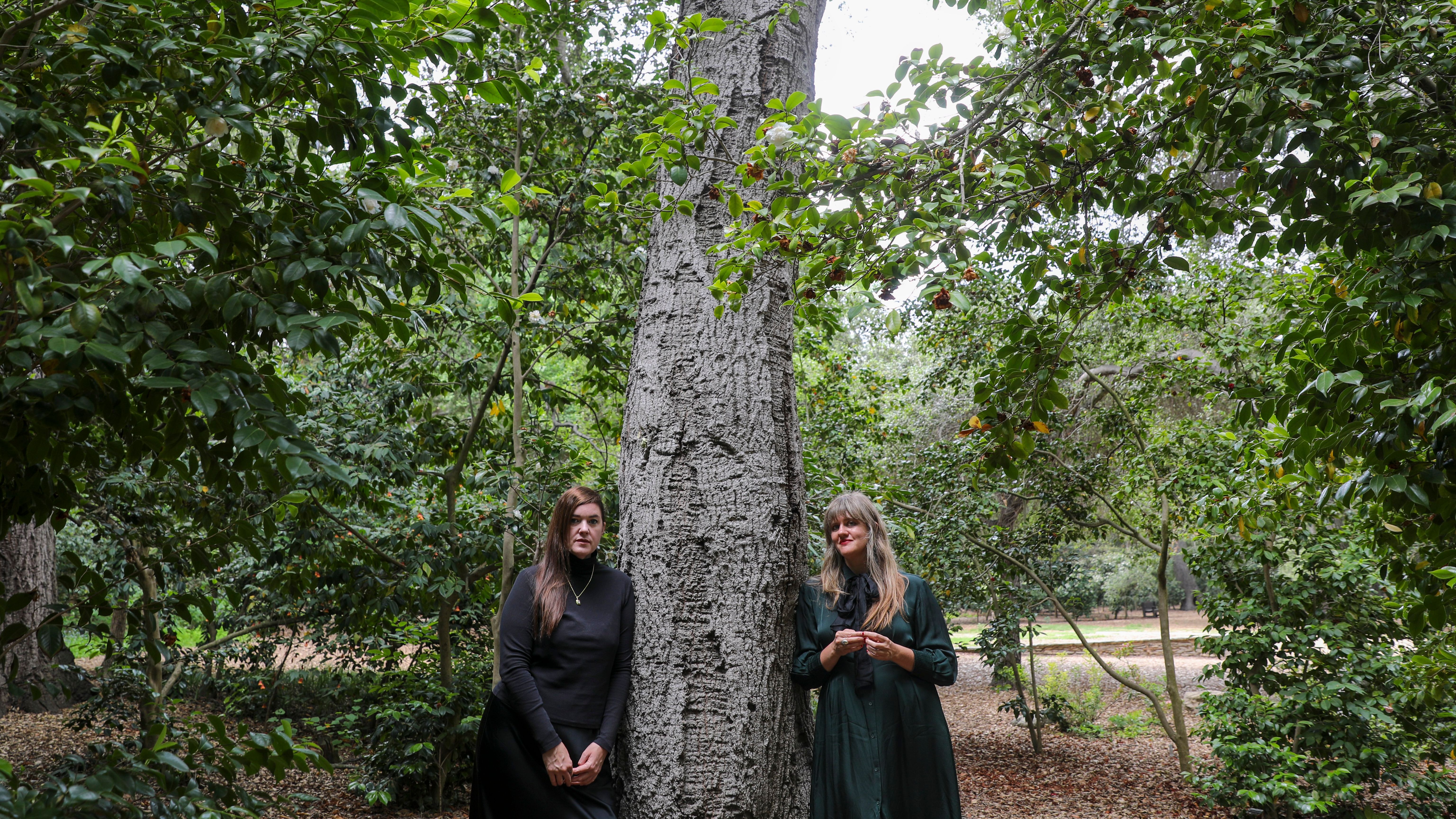 Julianna Barwick and Mary Lattimore Share Songs From New Film Score