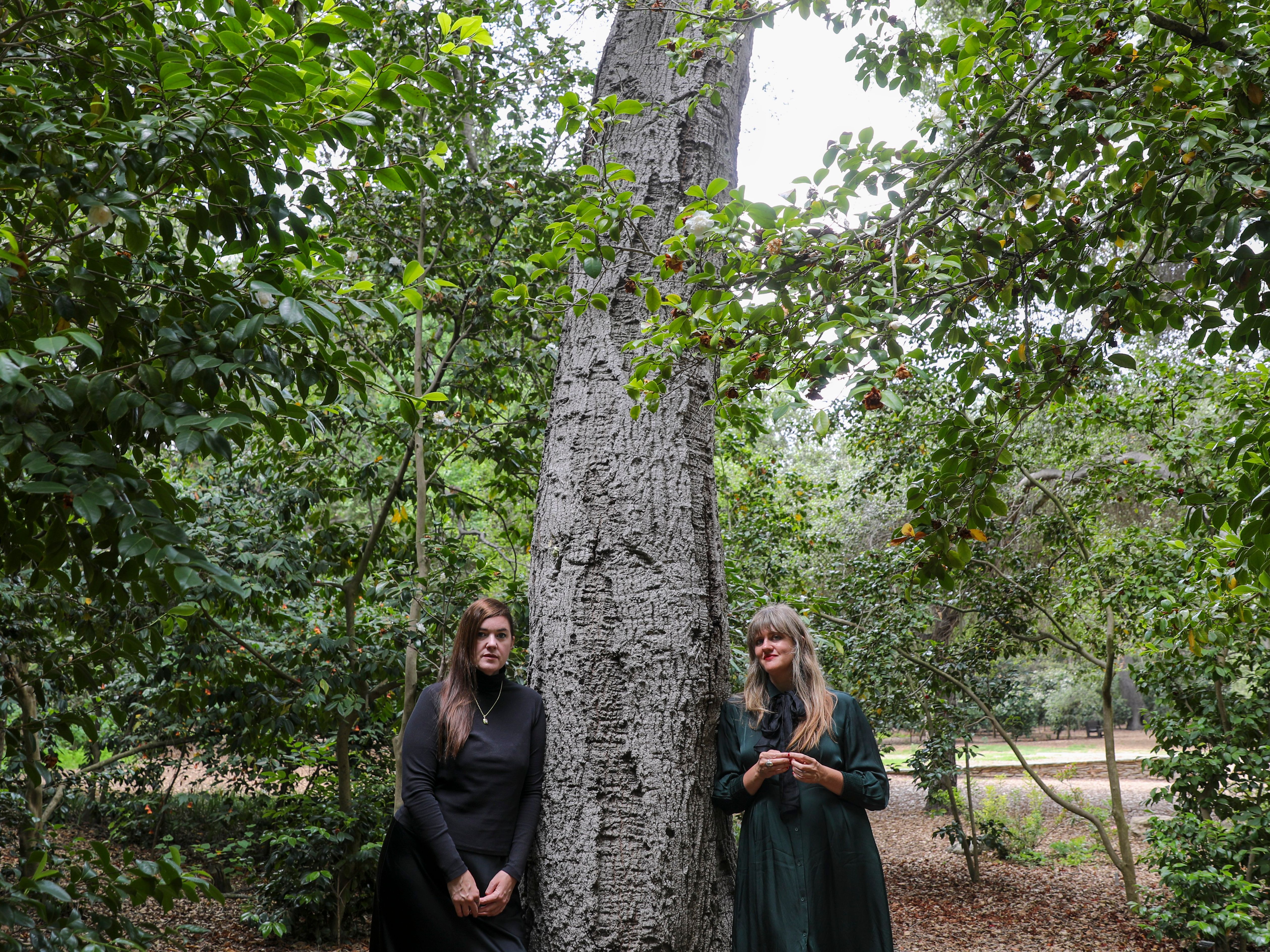 Julianna Barwick and Mary Lattimore Share Songs From New Film Score — image 2