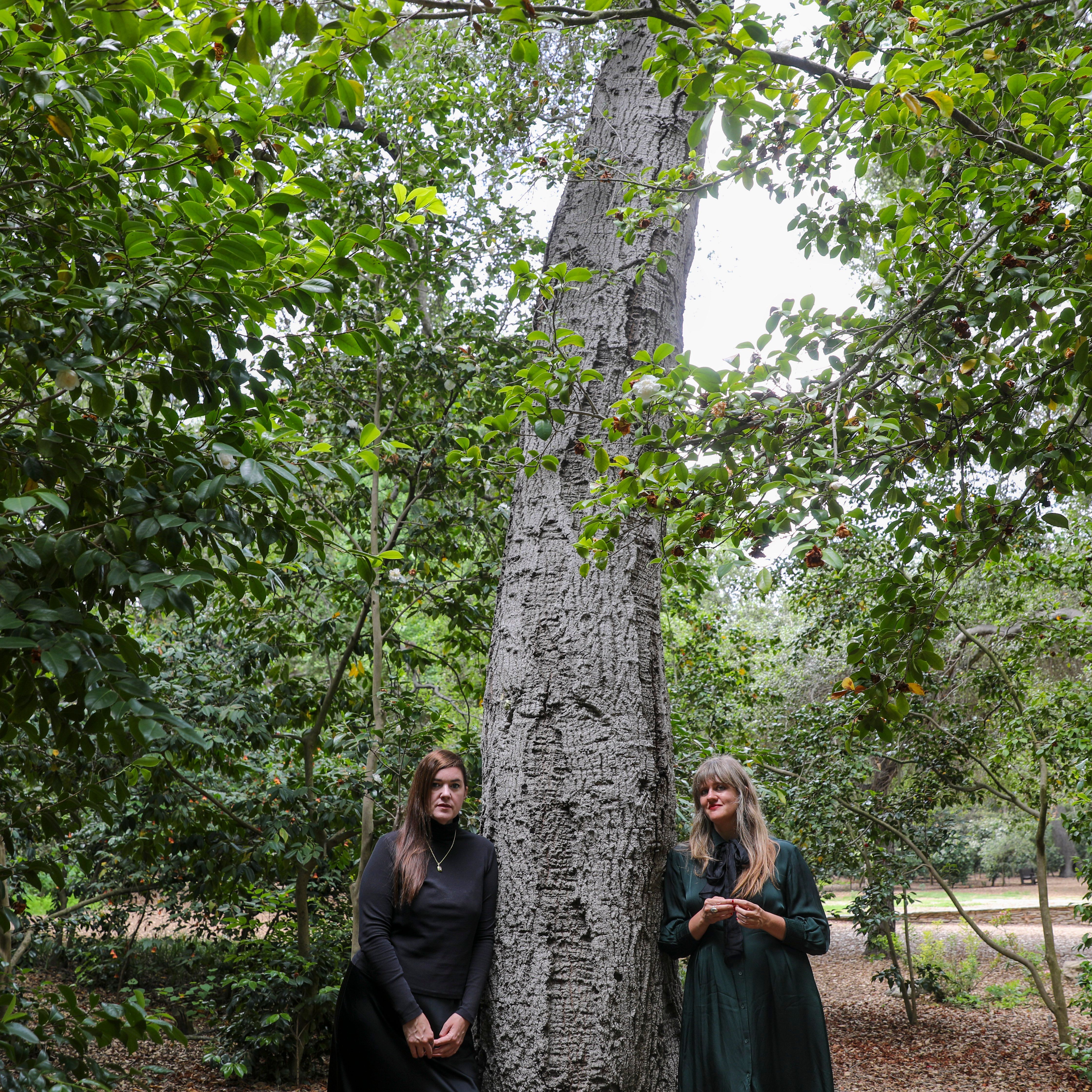 Julianna Barwick and Mary Lattimore Share Songs From New Film Score — image 3