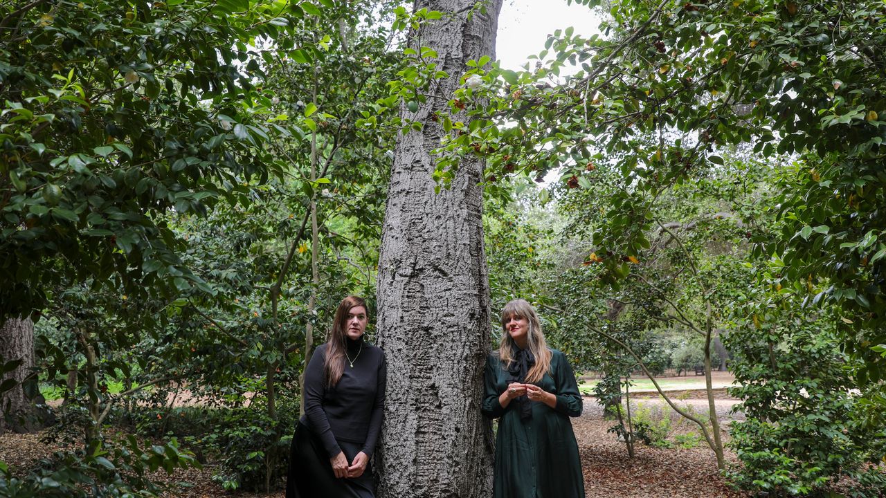 Julianna Barwick and Mary Lattimore Share Songs From New Film Score — image 4