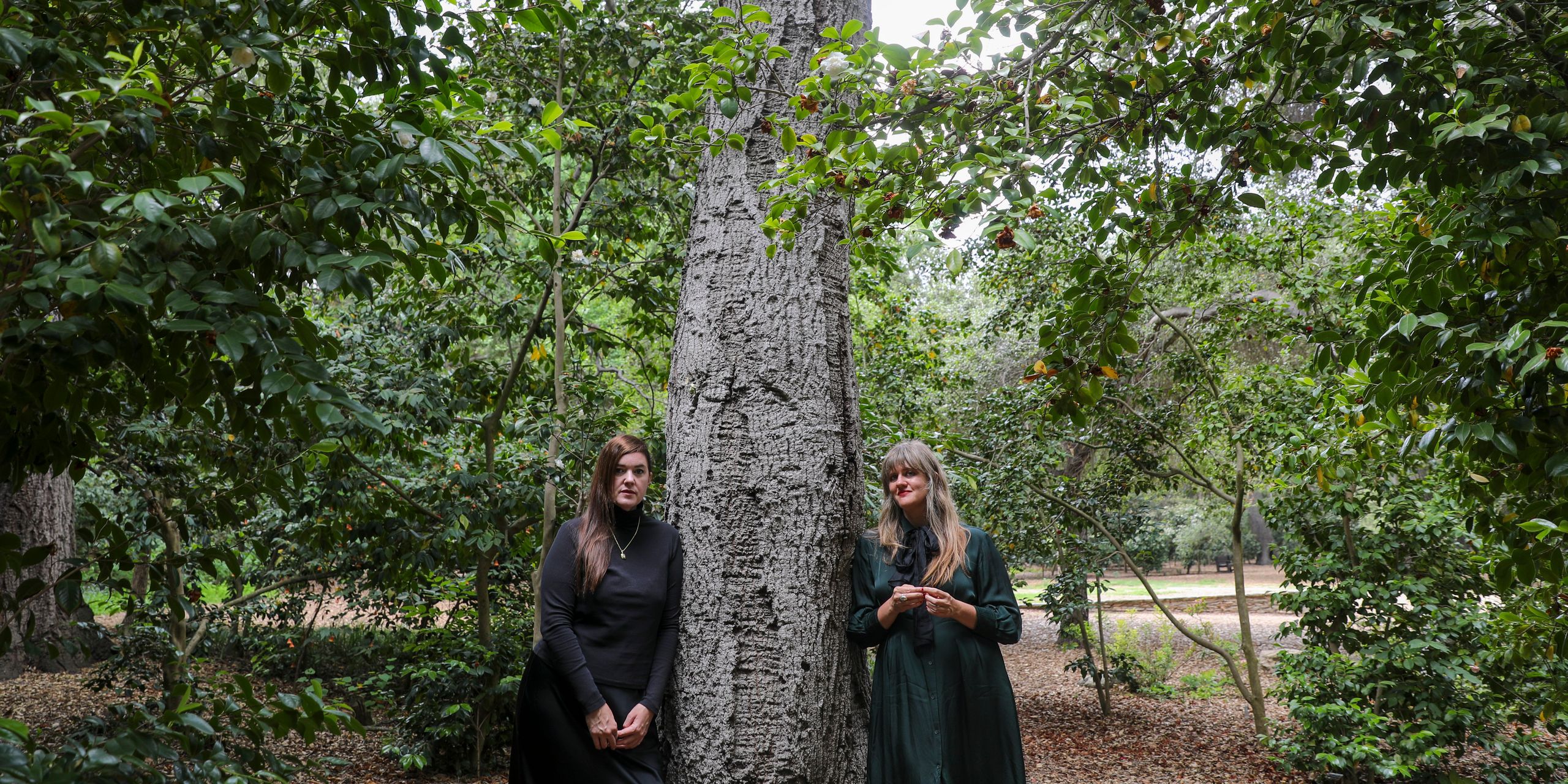 Julianna Barwick and Mary Lattimore Share Songs From New Film Score — image 5