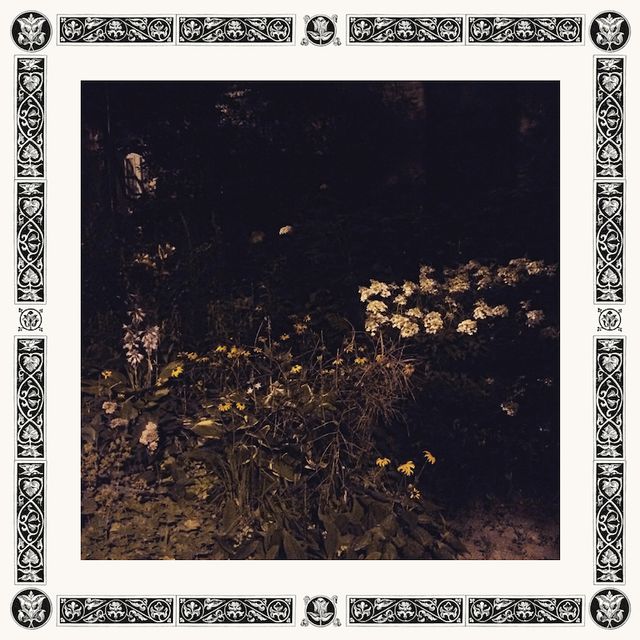 Sarah Davachi: The Will of Tongues — image 13