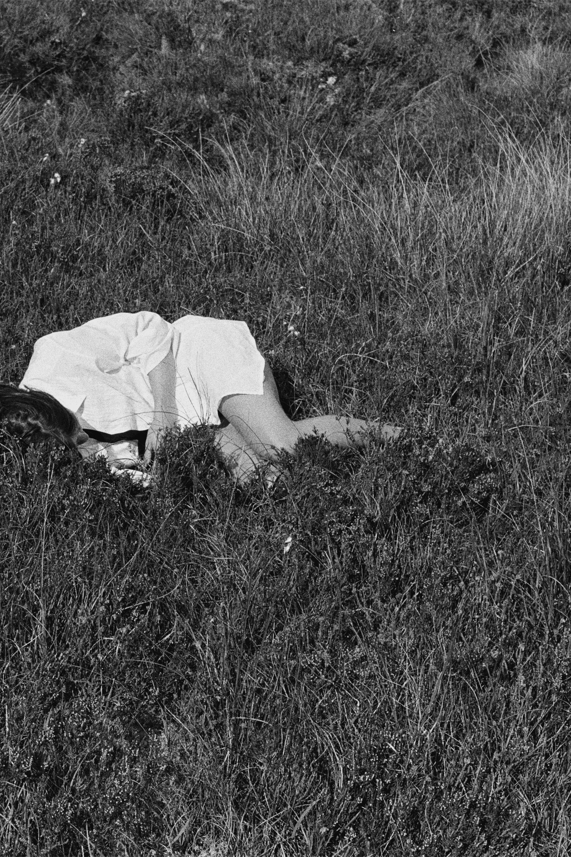 Nina Winder-Lind: Wild Love — image 1