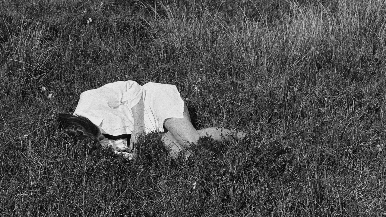 Nina Winder-Lind: Wild Love — image 2