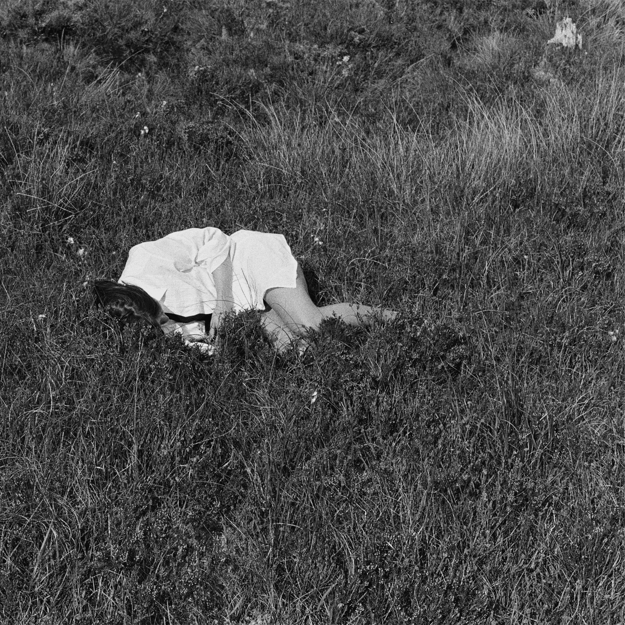 Nina Winder-Lind: Wild Love — image 4