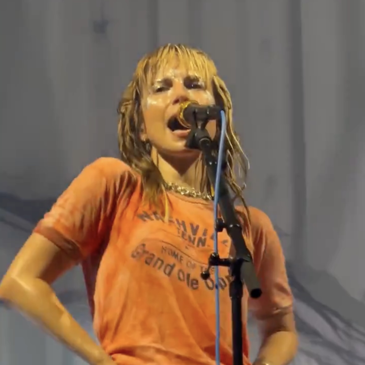 Hayley Williams Debuts Older Songs At Palm Beach Tour Opener: Watch