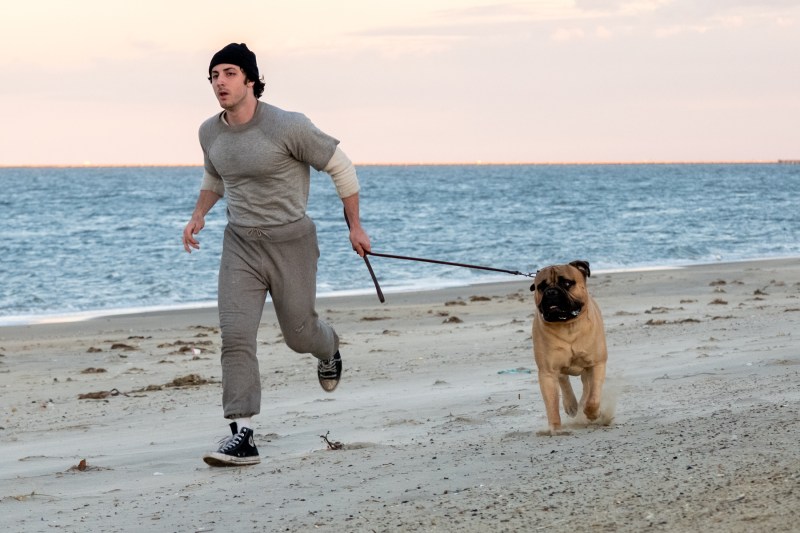 22 Most Anticipated Movies at Toronto International Film Festival 2026 — image 18