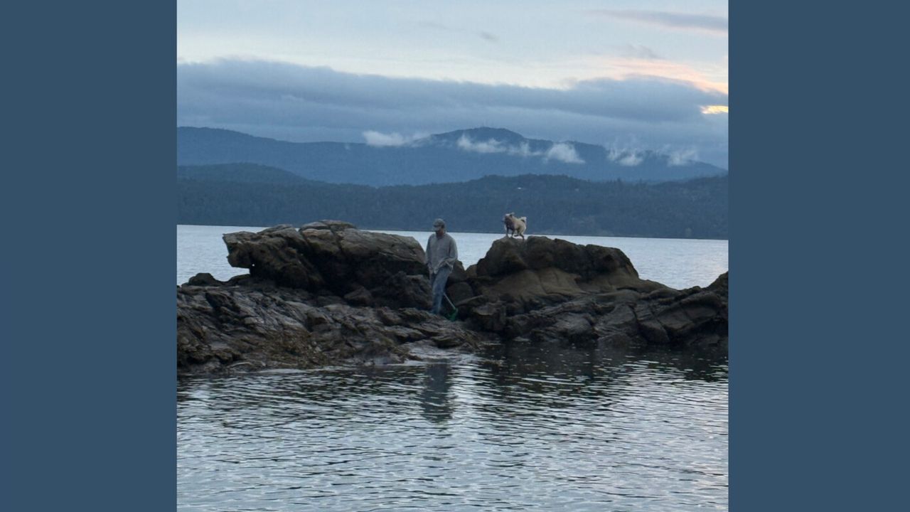 Mac DeMarco: Dog on the Rock / Seven Off the Two / Seaplane Dog / The View from Tian Tan — image 2