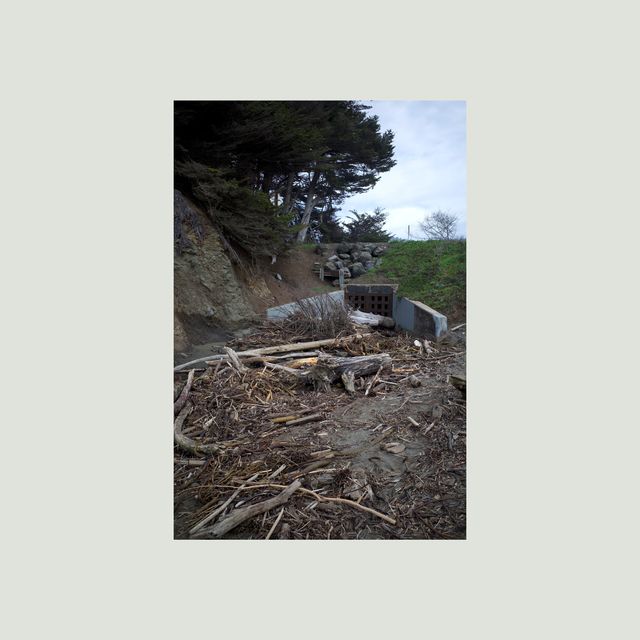 Mac DeMarco: Dog on the Rock / Seven Off the Two / Seaplane Dog / The View from Tian Tan — image 9