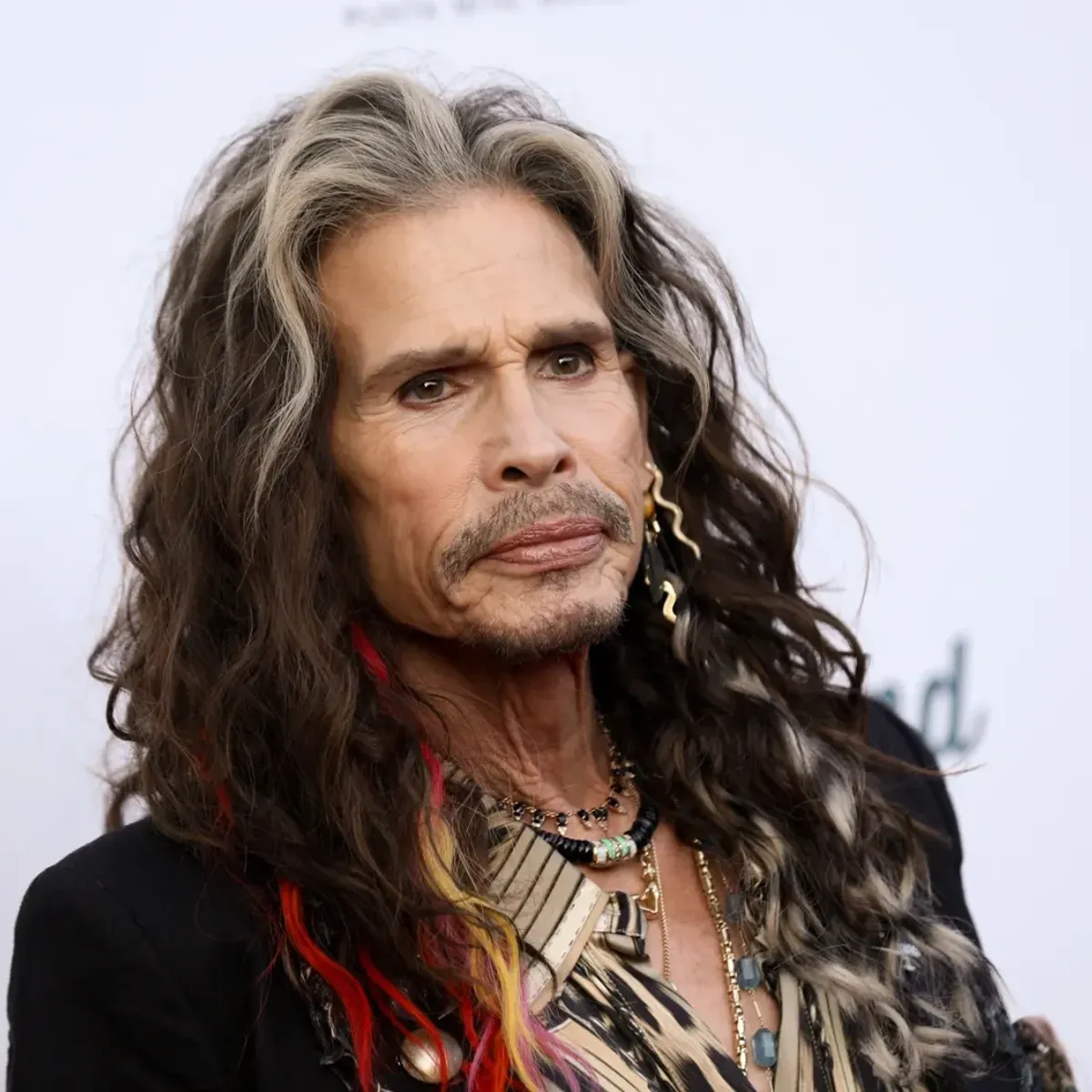 Steven Tyler Sexual Assault Case Judge Mysteriously Recuses Herself Two Weeks Before Trial — image 2
