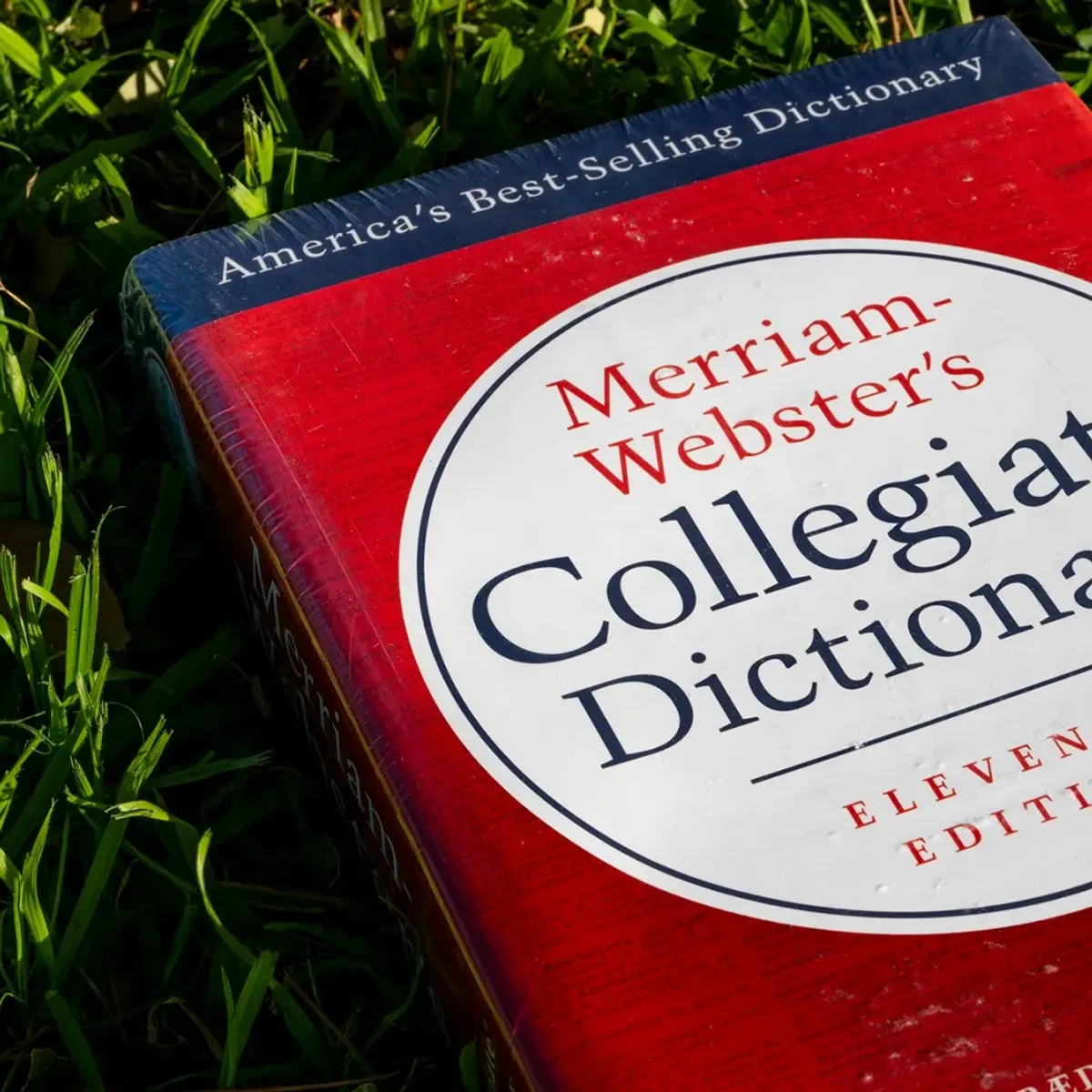 Merriam-Webster Adds ‘Looksmaxxing,’ ‘Cuffing Season,’ ‘Vibe Coding’ to Dictionary — image 2